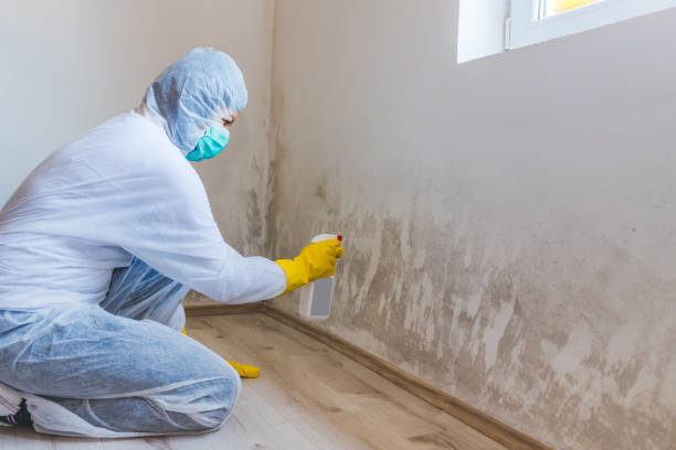 Licensed Mold Removal service in Foster, VA - WQB Mold Removal