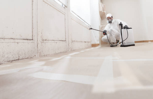 24/7 Emergency Mold Removal experts in Foster, VA