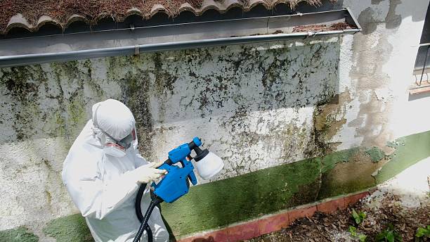 Top rated local Mold Removal specialists in Foster, VA